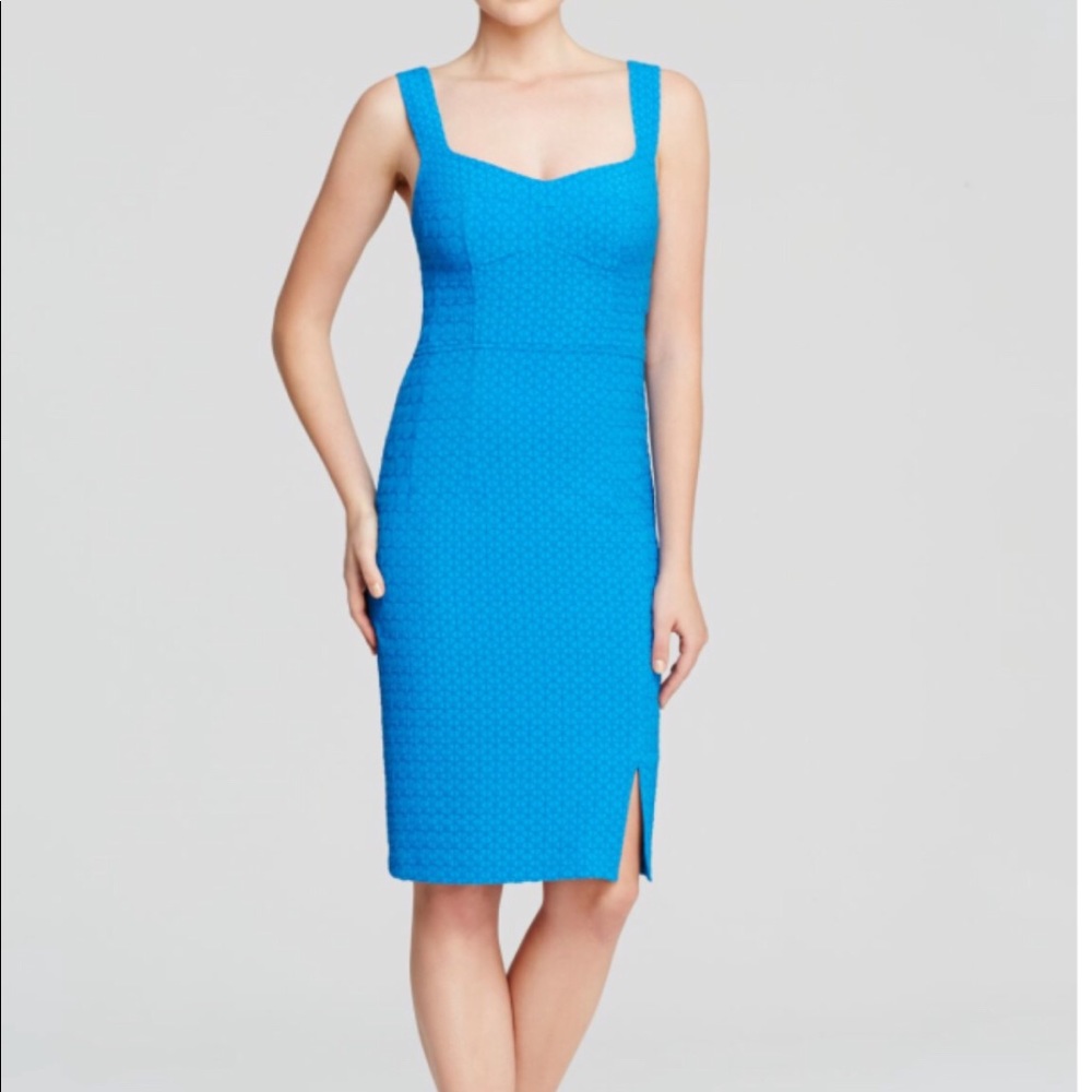 Nanette Lepore Rum Sizzle Sheath Dress